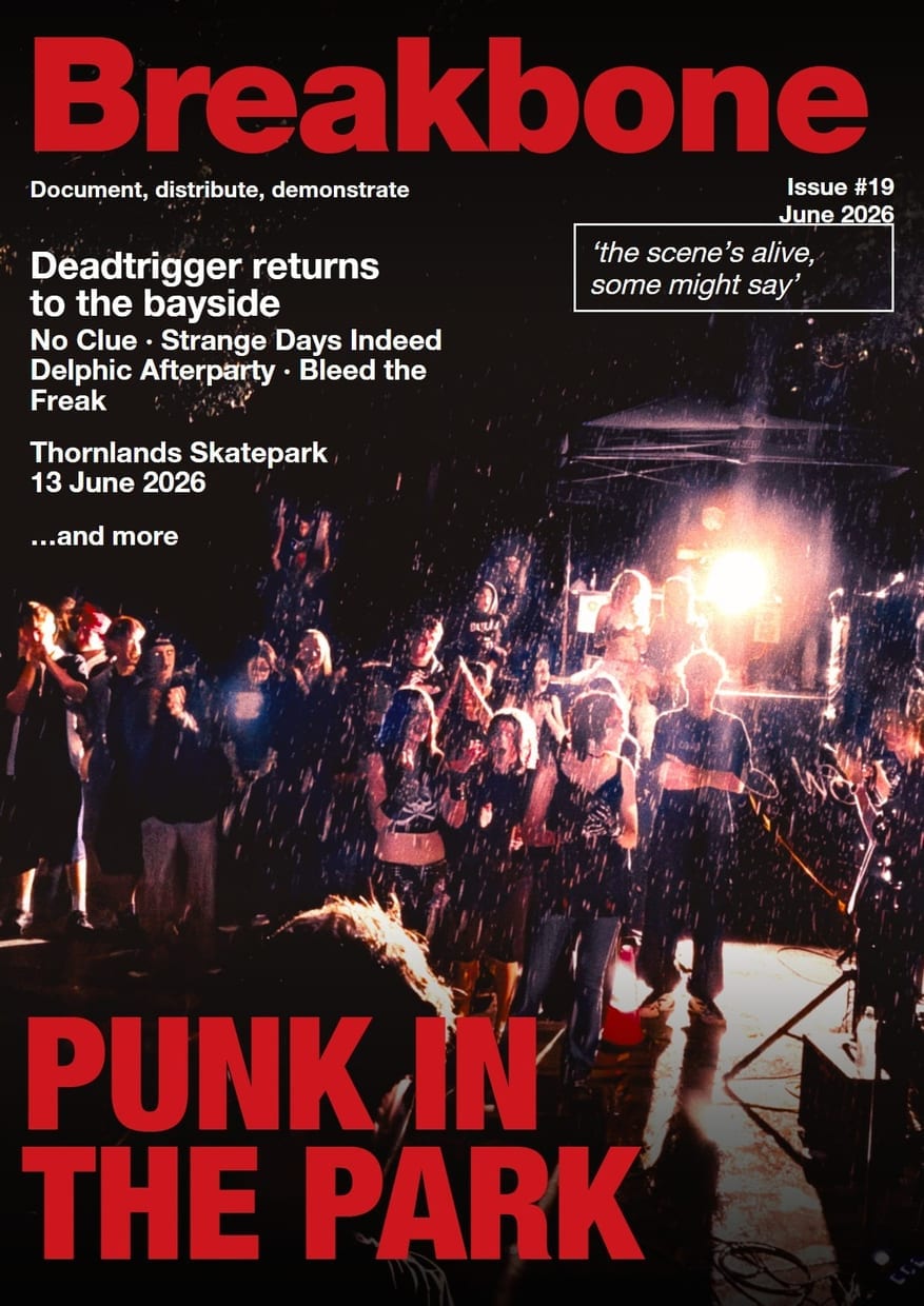 Punk in the Park, Issue 19